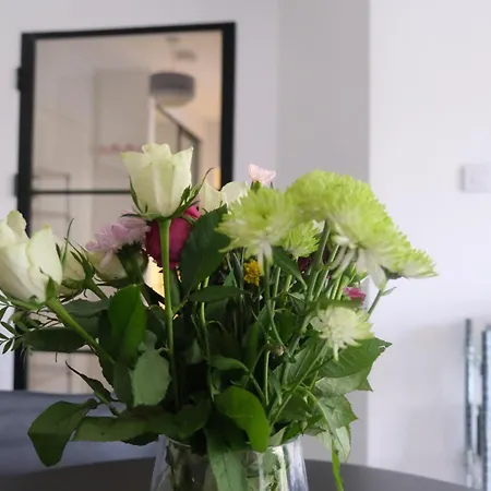Modern 2bedroom By Temple Bar And Christchurch Dublin